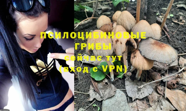 каннабис Коряжма